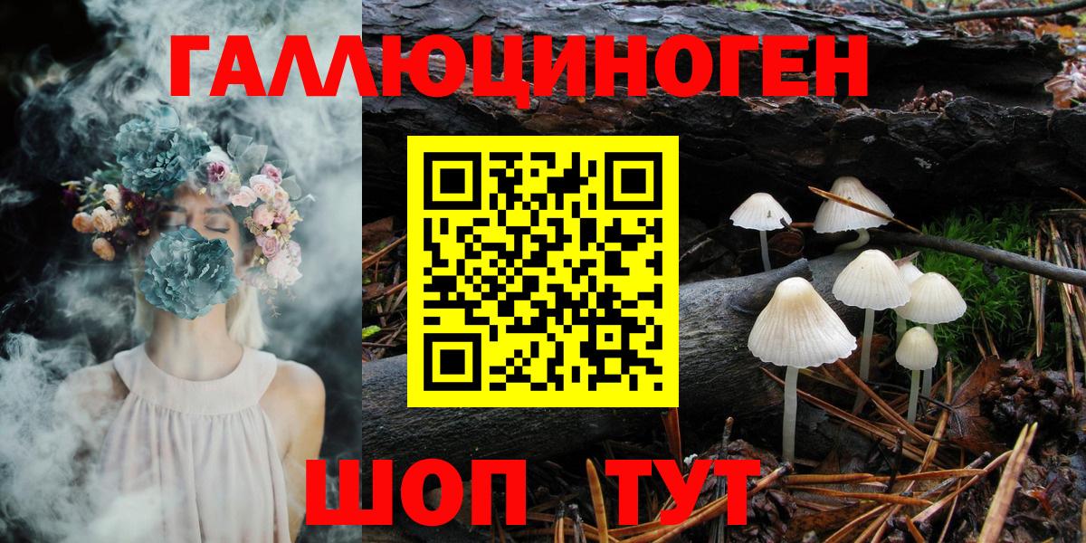 Галлюциногенные грибы Cubensis  Вход с VPN  Комсомольск-на-Амуре 